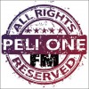 PELI ONE FM Boxes